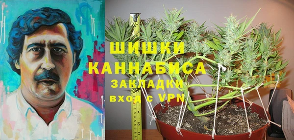 индика Лихославль