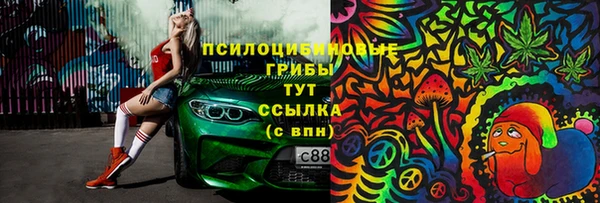 индика Лихославль