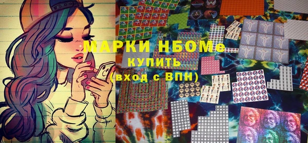 индика Лихославль