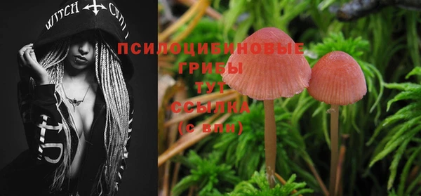 индика Лихославль