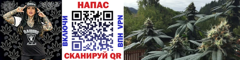 Бошки марихуана Ganja  даркнет сайт  Кемерово 